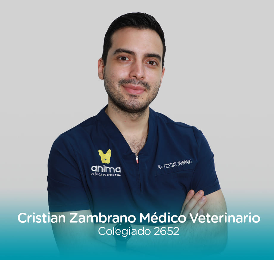 Imagen 4